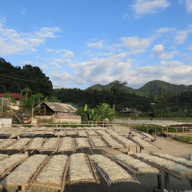 Bac Kan arrowroot vermicelli  - ảnh 4